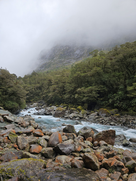 Hollyford River