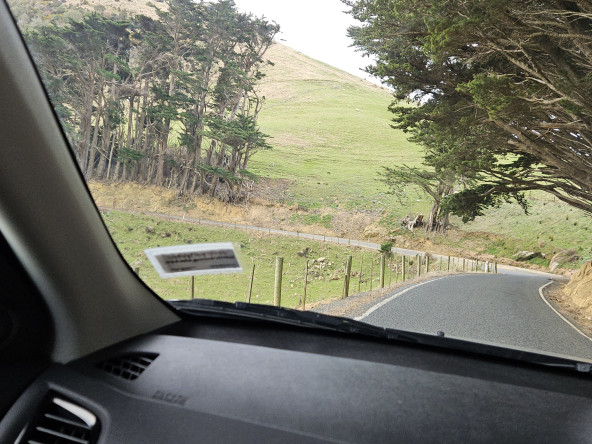 Highcliff Drive