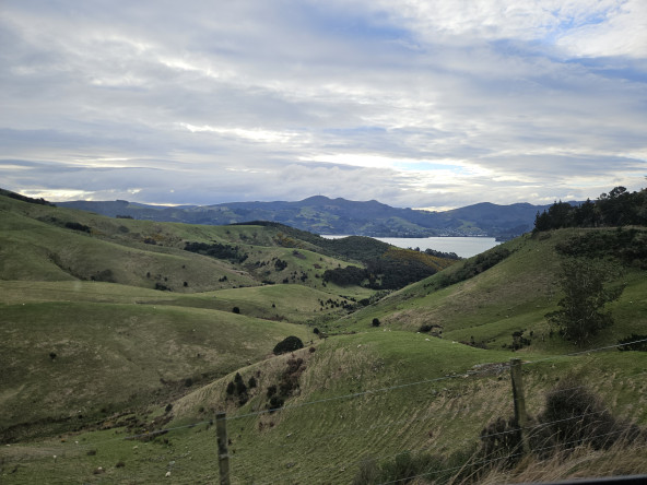 The Otago Peninsula