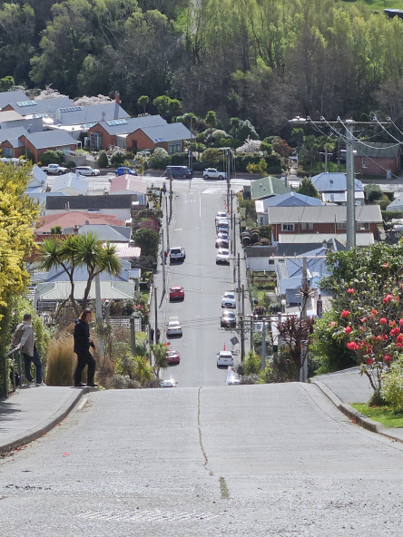 Baldwin Street from the top