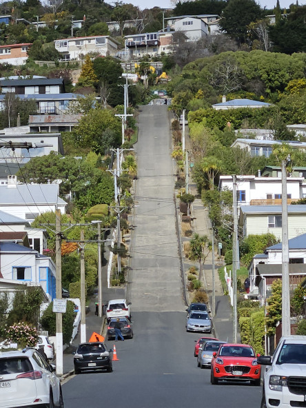 Baldwin Street from the bottom