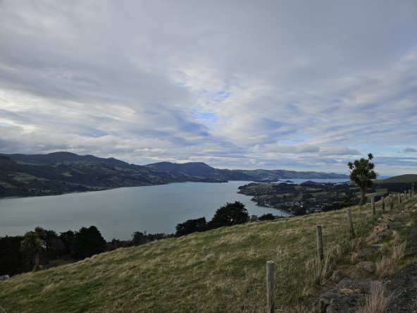 View from the road